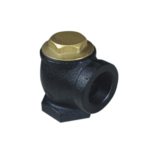 Angle Check Valve